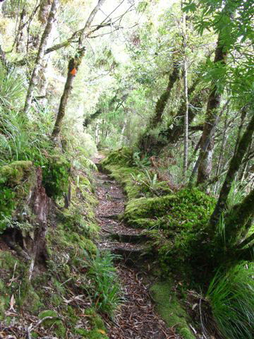 Lake Waikareiti Walkway