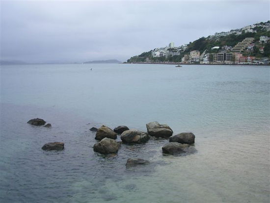Oriental Bay
