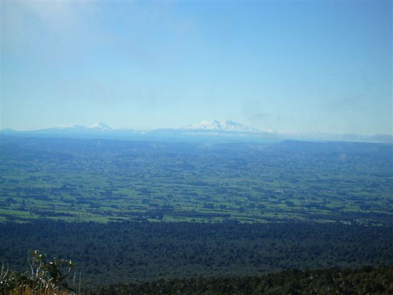 Blick auf den Tongariro Nationalpark