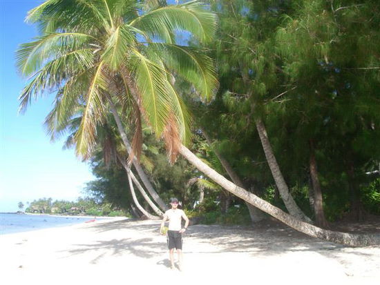 Der Flo, die Palme und die coconut...