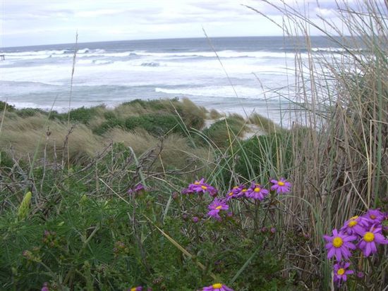St. Kilda Beach - Dunedin