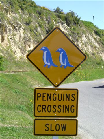 in Oamaru
