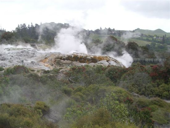 Whakarewarewa Village
