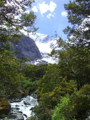 Im Mt. Aspiring NP, Rob Roy Gletscher Walk