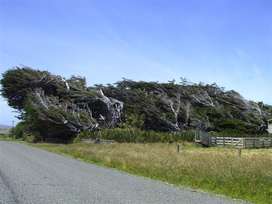 Southland: da ists windig...