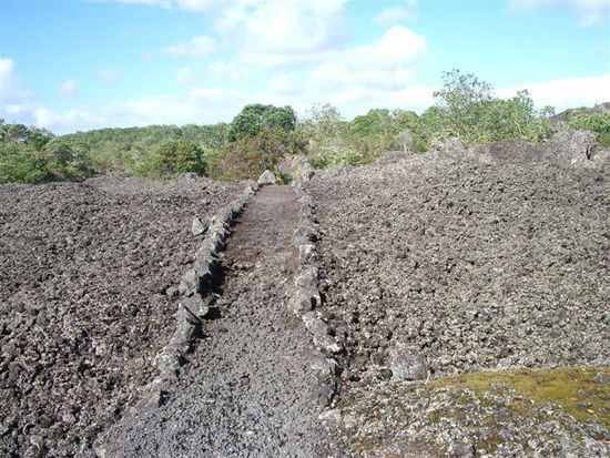 Wanderweg auf Rangitoto Island