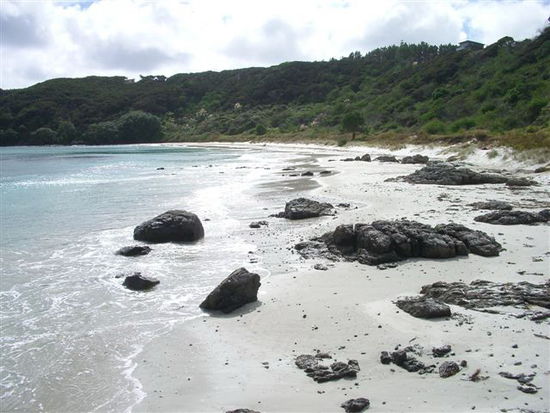 Doubtless Bay - Pukeke Beach