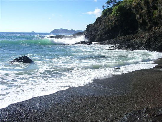 Coromandel Walkway