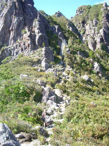 Kauaeranga Valley Track