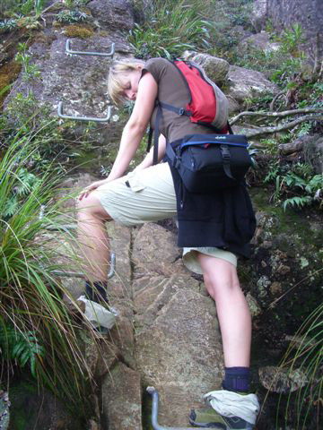 Kauaeranga Valley Track - die letzten Meter