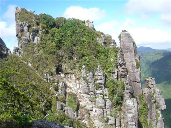 Kauaeramga Valley Track, the Pinnacles!