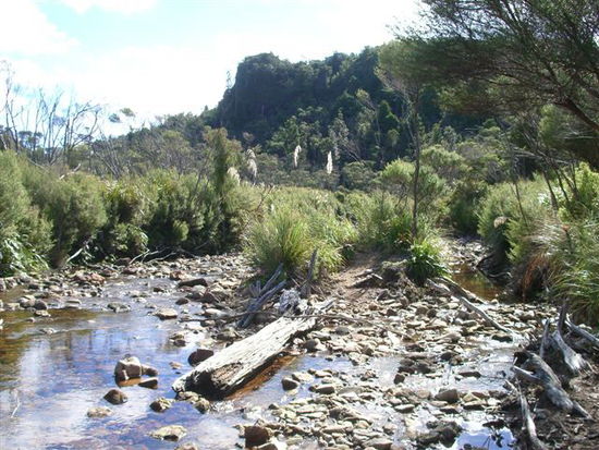 Kauaeranga Valley Track