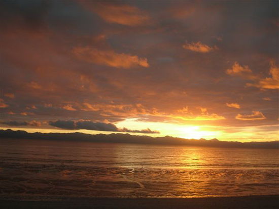 Seabird Coast - Sunrise