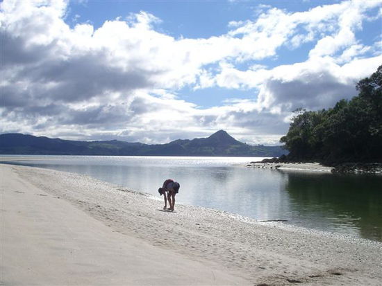 Cooks Beach
