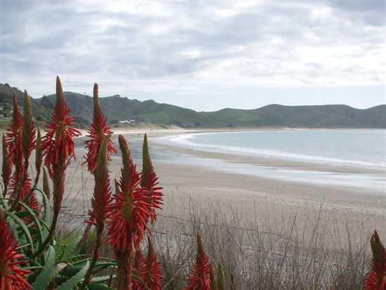 Opito Bay