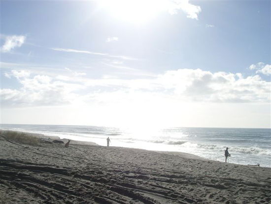 somewhere at the coast of Bay of Plenty