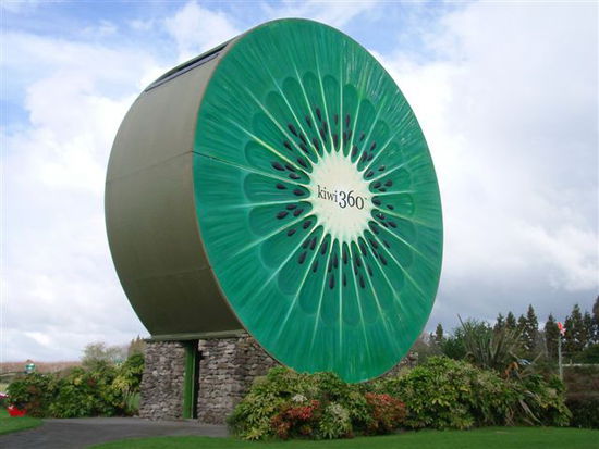 Te Puke - Hauptstadt der Kiwifrucht