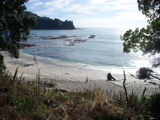 ..auf dem Whakatane Walkway...