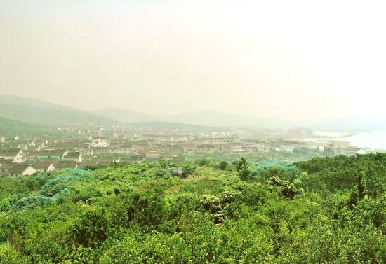 die mit Netzen bedeckten Bäume tragen Waxberries und rechterseits liegt der Tai Hu.