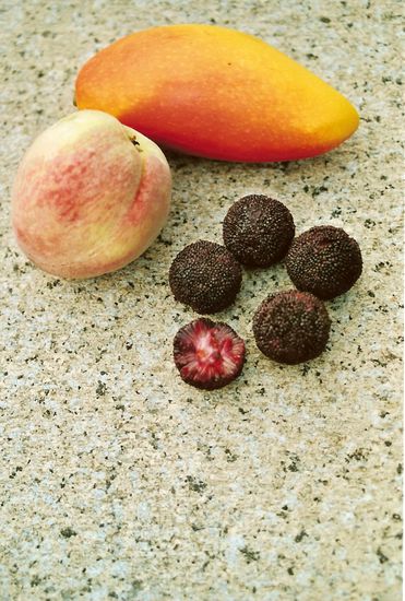 oben eine leckere Mango, dann ein ordinärer Pfirsisch und 4 1/2 Waxberries. Von rot bis fast schwarz - sie bestehen aus saftigen "Stäbchen"