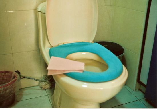 kuschelig, weich und warm - aber aus hygienischer Sicht unbeSiTZbar! GRRR, und dazu ein hartes, kratziges rosa Blatt Toilettenpapier - der Chinese ist einiges gewohnt, freut sich, wenn es überhaupt Papier gibt!