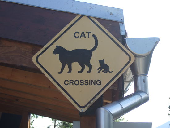 Lustige Schweizer...