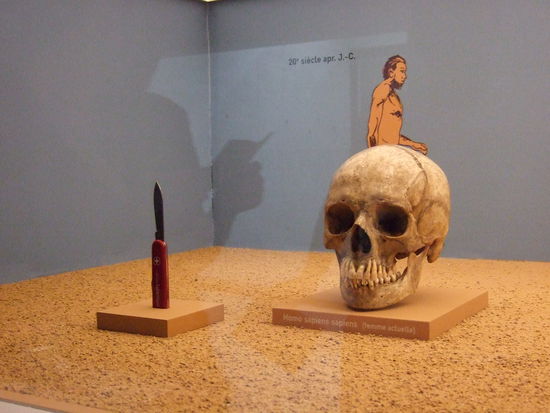 Der Mensch der Neuzeit 