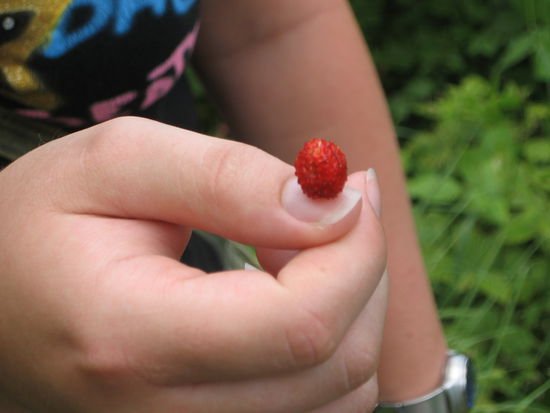 *lecker* ...wenn auch etwas klein 