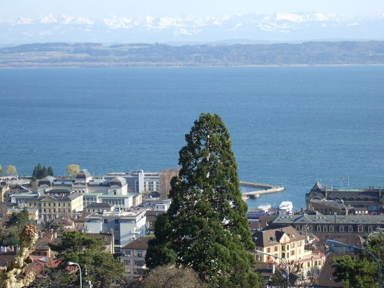 Neuch, See und Alpen