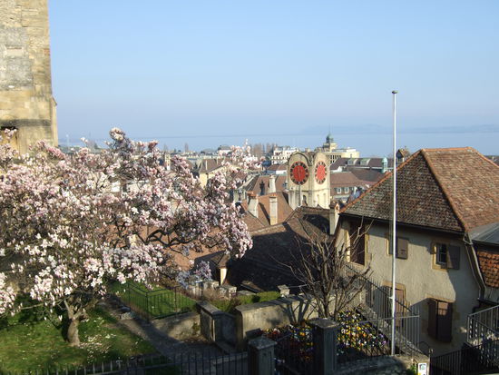 ...und einen tollen Ausblick hat man von hier oben *freu*