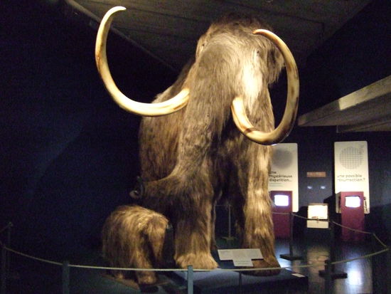 ...die beiden eher nicht 