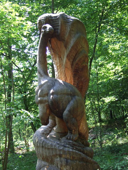 Zeitpfad: vom Dino...