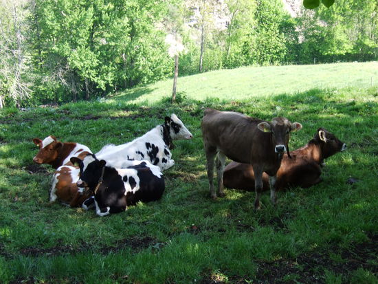 Da fühlt man sich direkt heimisch 