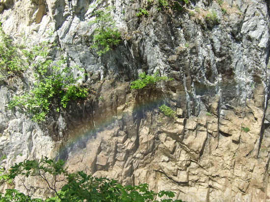 Wer findet den Regenbogen?