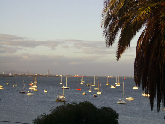 Blick auf den Yachthafen von Geelong