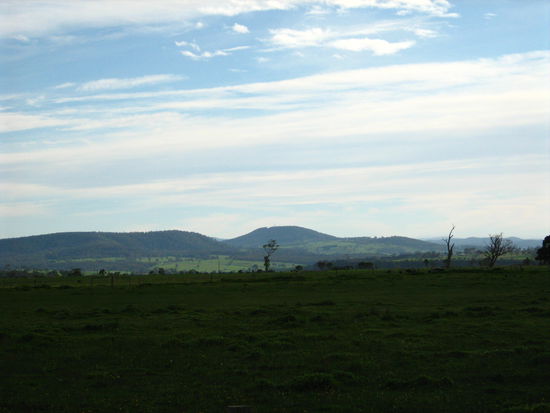 Weidelandschaft mit Blick auf die Snowy Mountains