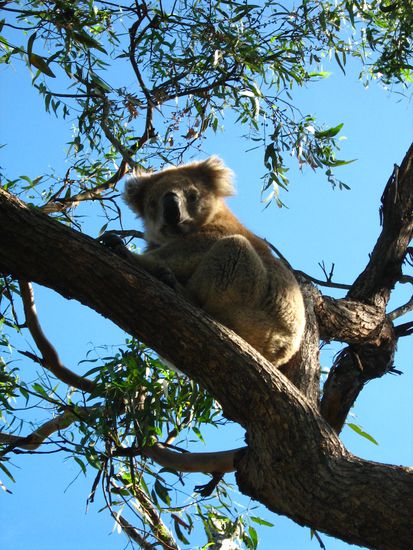 Immer wieder knuddellig...