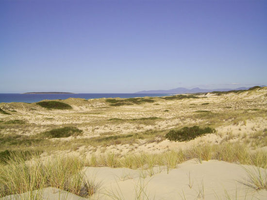 unberuehrte Duenenlandschaft