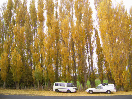 Es ist wirklich Herbst in Australia...
