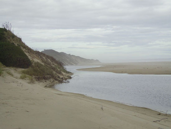 Eine Menge Sand mussten wir ueberwinden um an die Kueste zu gelangen...