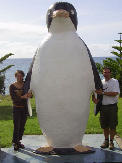 Auf dem Rueckweg kamen wir an dem kleinen Oertchen Penguin vorbei...