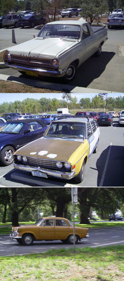 Ein paar ausgewählte Exemplare 