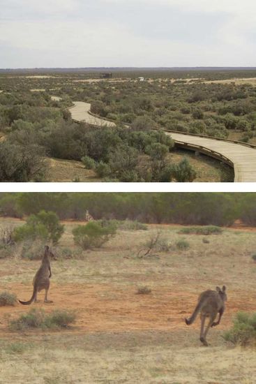 Trockensee und einheimische Tierchen