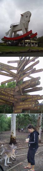 "The Rocking Horse" - Entfernung nach Berlin? - Fraenzi findet neue Freunde