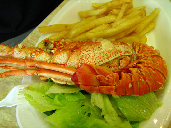 Unser Mittagessen - Lobster Mornay