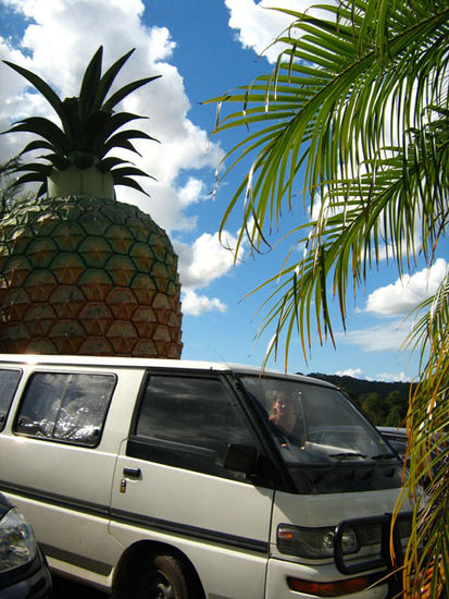 Der Mitsu vor der Big Pineapple