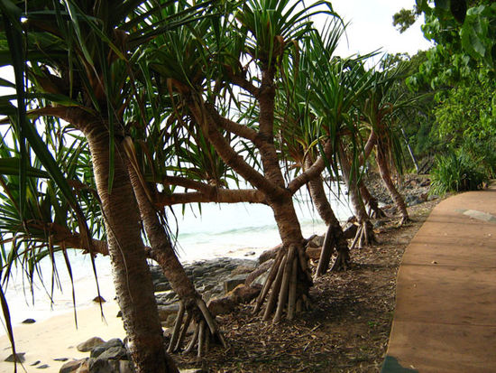 Noosa Nationalpark
