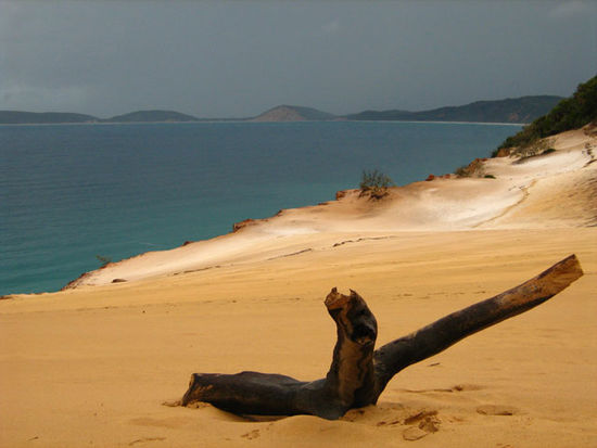 Carlo Sand Blow