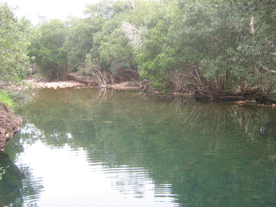 Hier war kein Kroko...