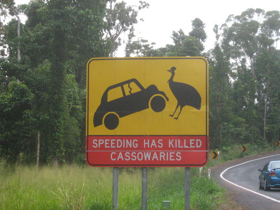 ... und warnt alle Autofahrer